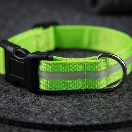 Halloween LED Pet Collar